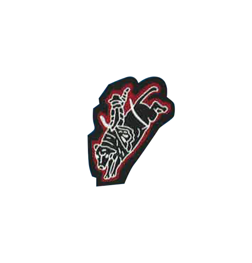 Bull Rider Jacket Bull Rider – Team Texas Letter Jackets
